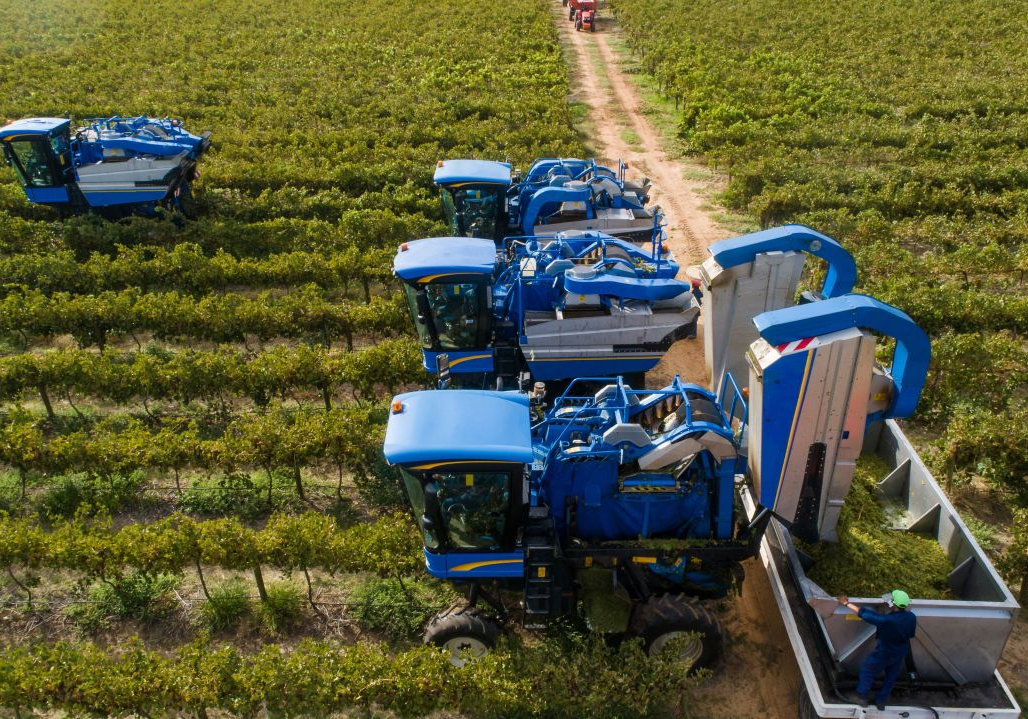 0cd1ca5e65d816673bad42a3d3448f90