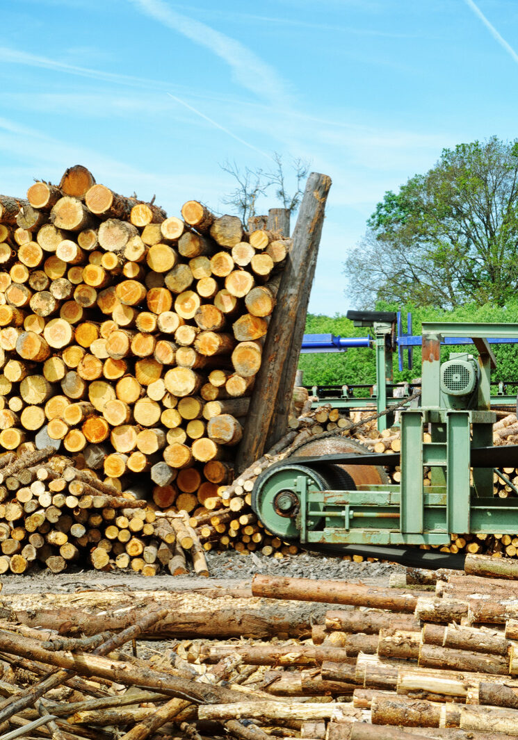 Sawmill (lumber mill) at sunny summer day