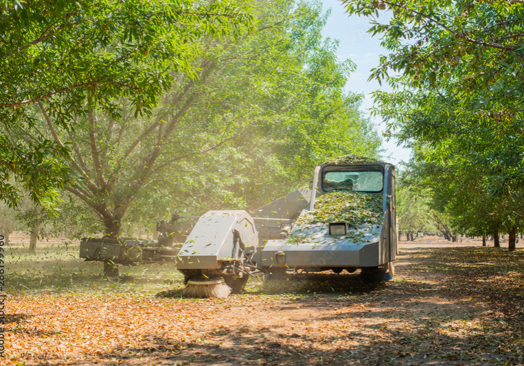 453e4ffb80178b7f36002bc09a3bf8f3