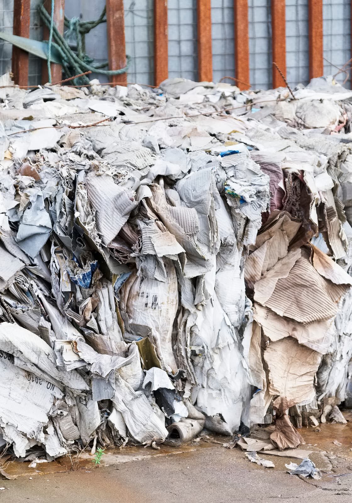 654a504c283b0f11636cb0aa3a82b905